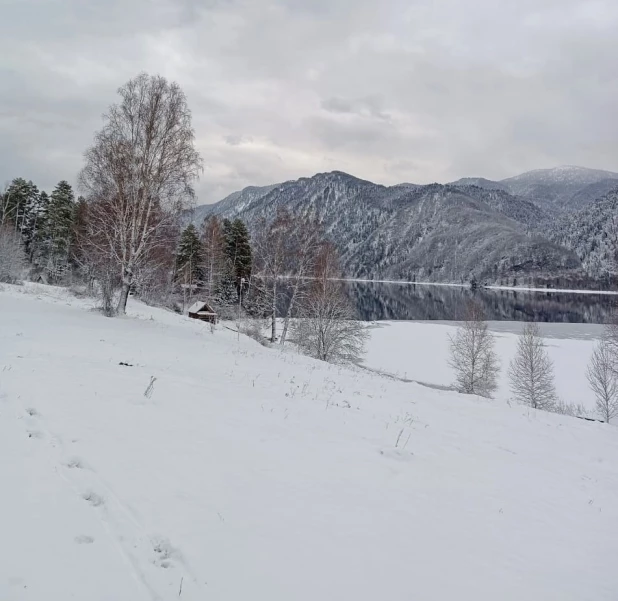 Телецкое озеро засыпало снегом.