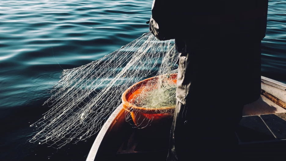 Когда снимается запрет на рыбалку: последние новости и информация