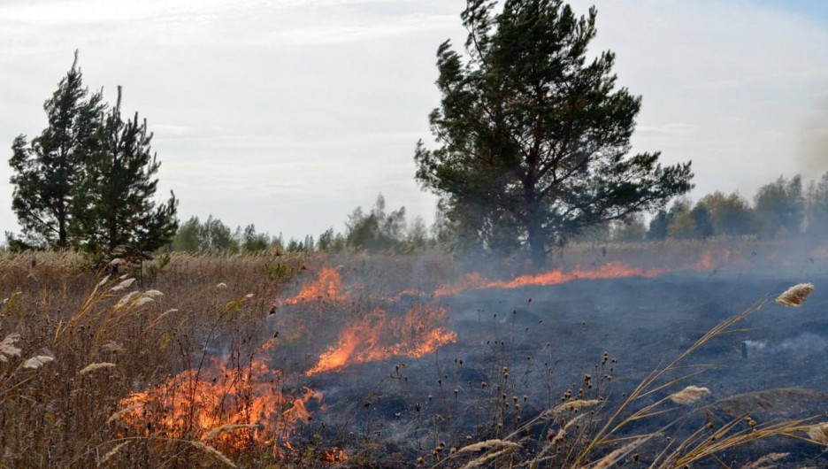 Лесной пожар в Михайловском районе.
