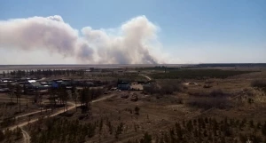 Лесной пожар в Михайловском районе.