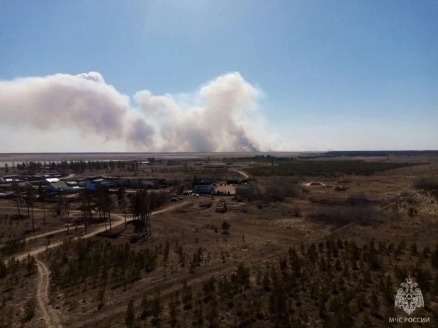 Лесной пожар в Михайловском районе.