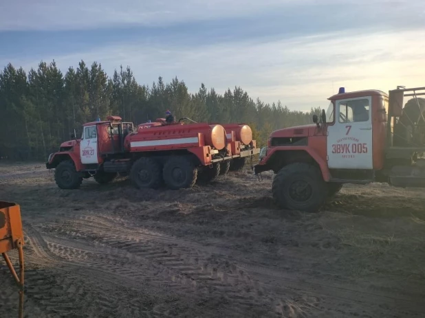 Лесной пожар в Михайловском районе.