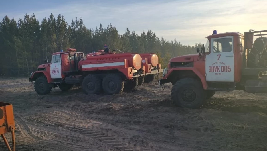 Лесной пожар в Михайловском районе.