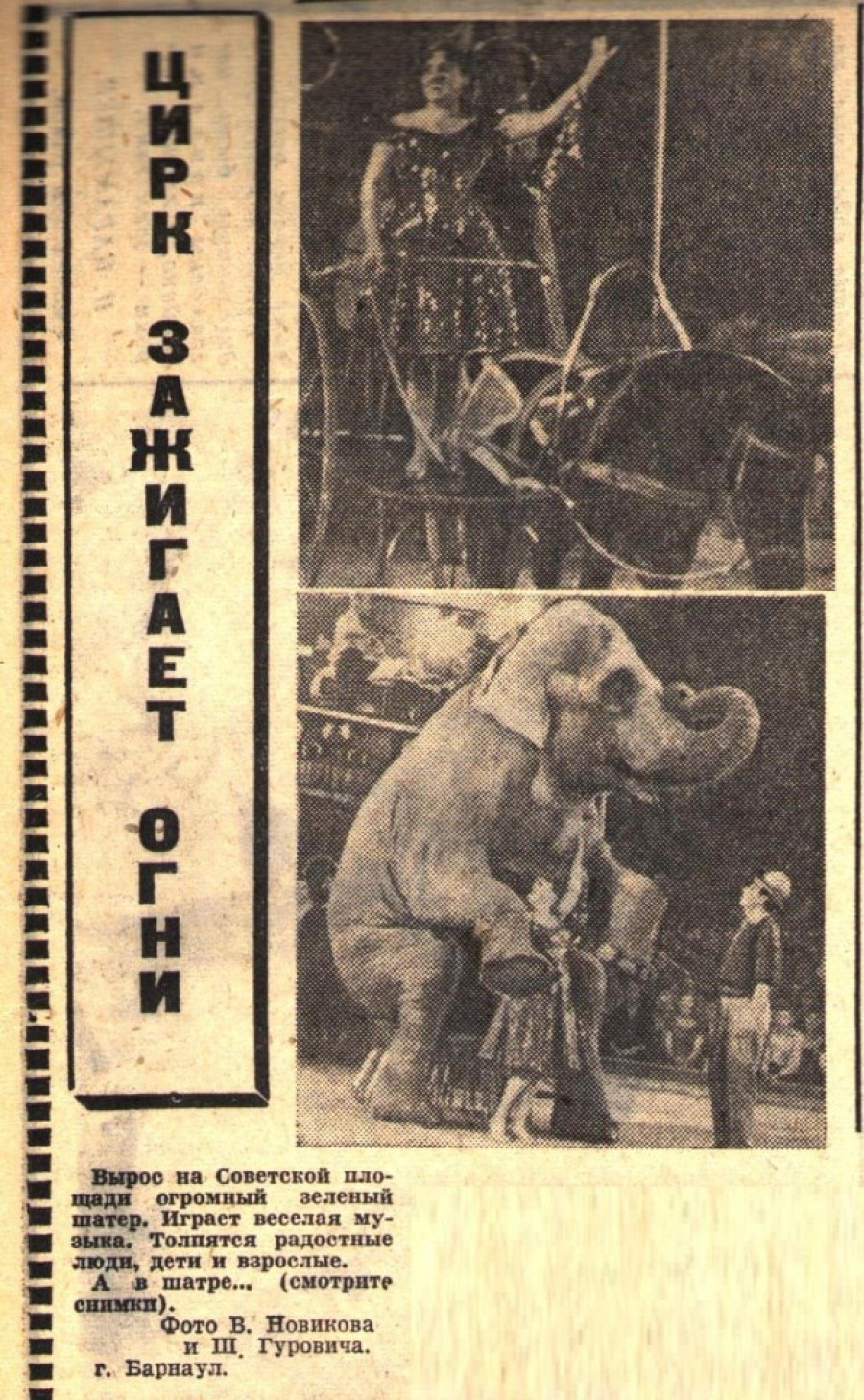 Слониха Катрин, самый крупный слон в стране, фото 1965 года.