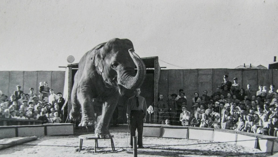 Цирк в Барнауле, фото 1959 года.