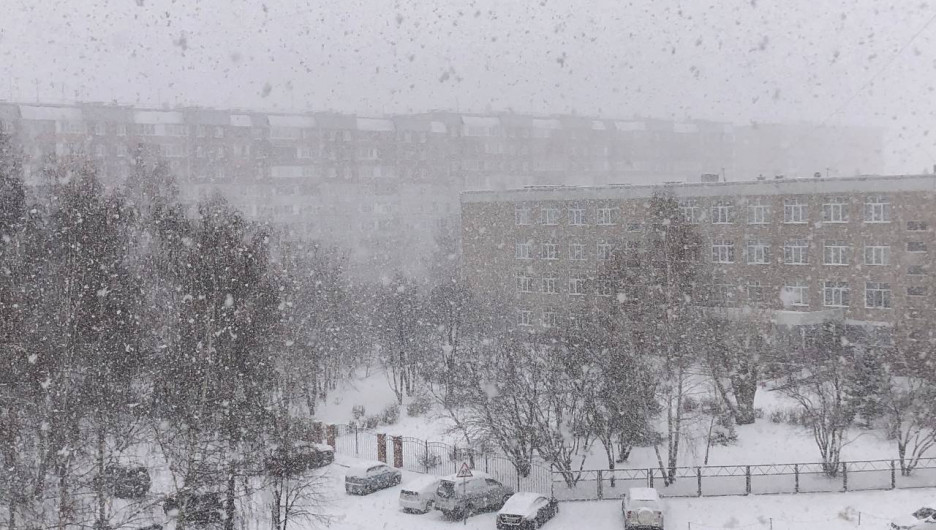 Ждать ли потепления на Родительский день в Барнауле, рассказали в Гидрометцентре