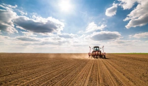 РСХБ на 2,5 млрд рублей профинансировал посевную кампанию на Алтае с начала года.