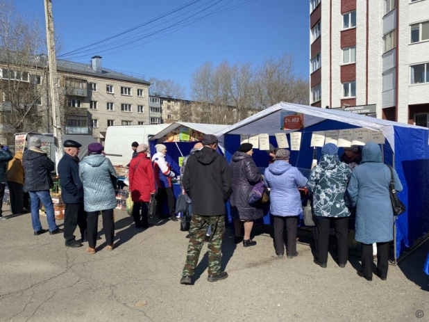 Продовольственная ярмарка в Барнауле.