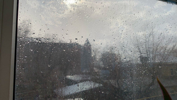 Весенний дождь в Барнауле. 