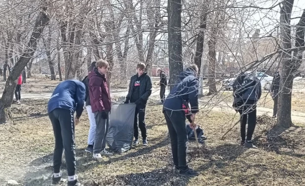 Экологические акции. Сборка мусора.