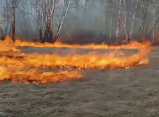 Пожар в лесничестве.