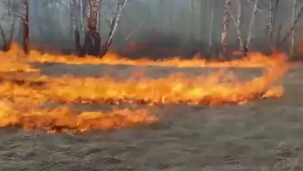 Пожар в лесничестве.