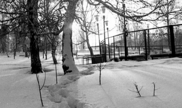 Парк "Юбилейный", фото 1980-х годов.