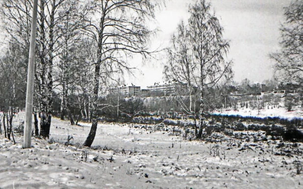 Парк "Юбилейный", фото 1980-х годов.