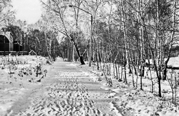 Парк "Юбилейный", фото 1980-х годов.