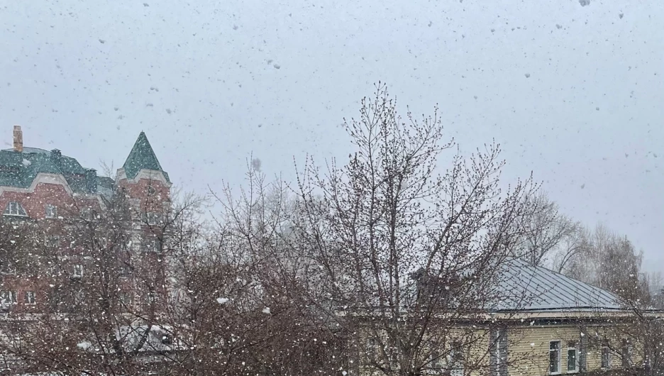 Мощный снегопад обрушился на Барнаул 2 мая