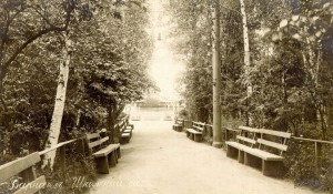 Аптекарский сад, ныне парк "Центральный", дата фото не указана.