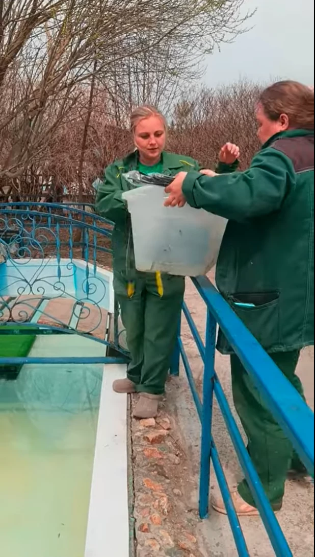 Животные барнаульского зоопарка переехали в уличные вольеры. 