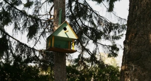 Скворечник в Барнаульском дендрарии.
