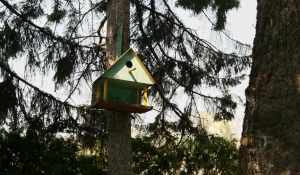 Скворечник в Барнаульском дендрарии.