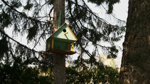 Скворечник в Барнаульском дендрарии.