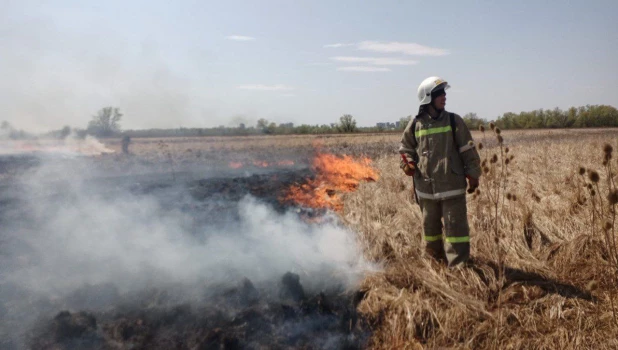 В Барнауле потушили горящую сухую траву в пойме Оби