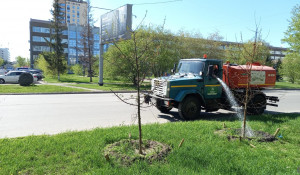 В Барнауле начали поливать деревья, кустарники и цветы.