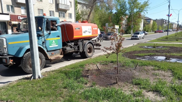 В Барнауле начали поливать деревья, кустарники и цветы.