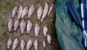 Незаконная рыбалка на территории Бийского района 