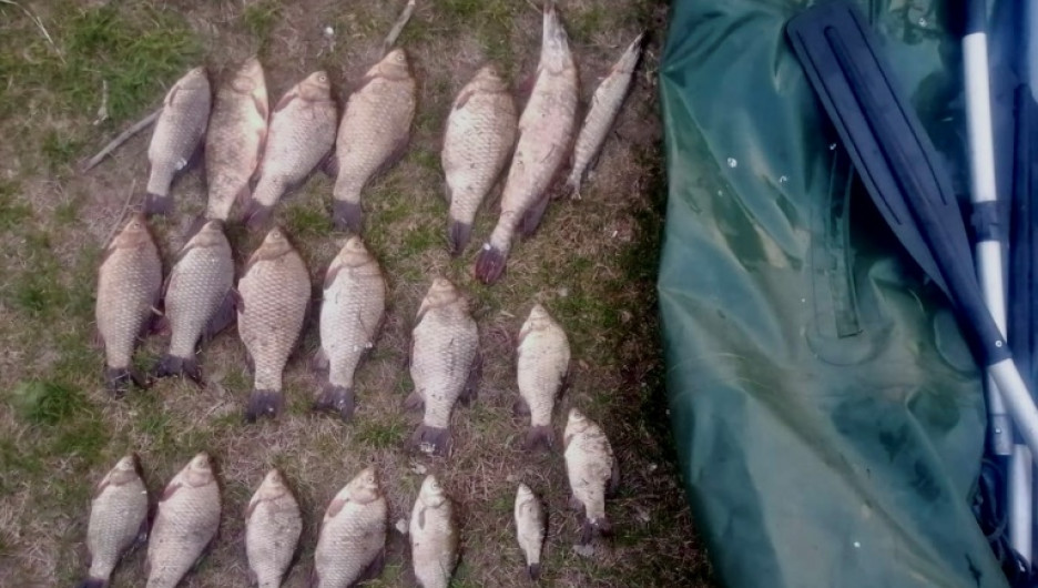 Незаконная рыбалка на территории Бийского района 