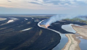 Сгоревшие поля в Барнауле.