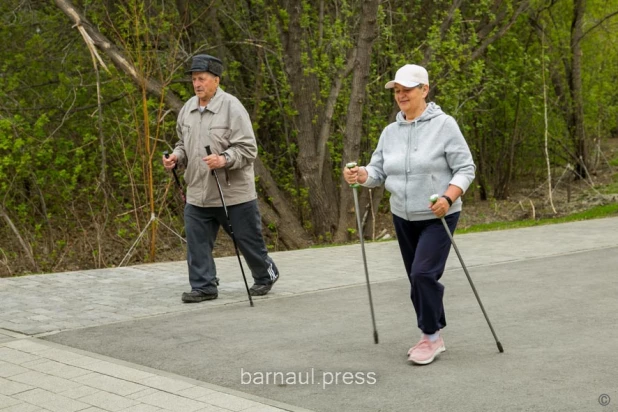 В парке  «Юбилейный» города Барнаула начался второй этап благоустройства.