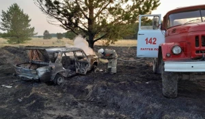 В Угловском районе машина врезалась в дерево и загорелась