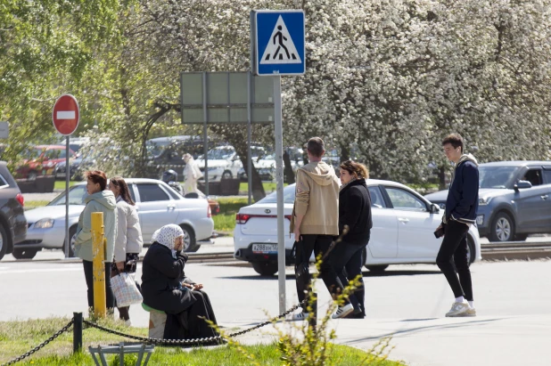 Весна в Барнауле. Цветение