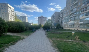 Сиреневый бульвар очистили от мусора в Барнауле.