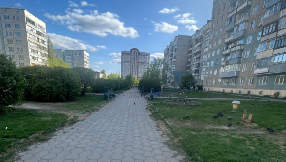 Сиреневый бульвар очистили от мусора в Барнауле.