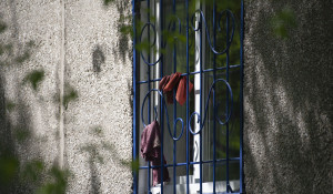 Окна барнаульцев, фото 2023 года.