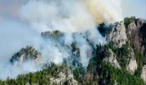 Лесной пожар в горах Алтая