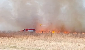 Природный пожар в Новосибирске