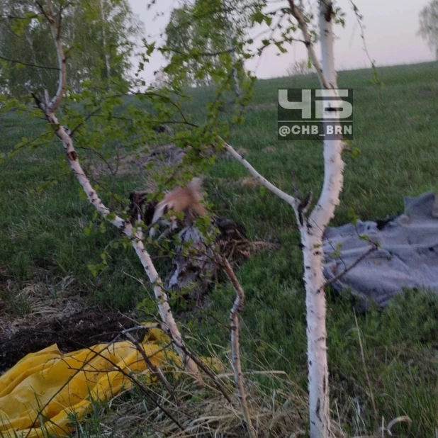 Холодильник с протухшей рыбой и опарышами.