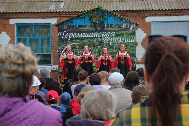 Праздник черемши в селе Черемшанка. 