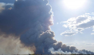 Крупный лесной пожар вспыхнул Алтайского края и Казахстана