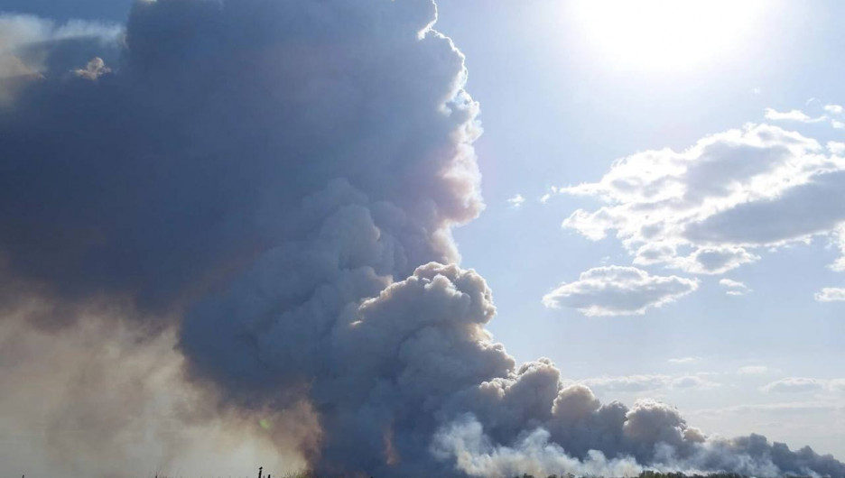 Крупный лесной пожар вспыхнул Алтайского края и Казахстана