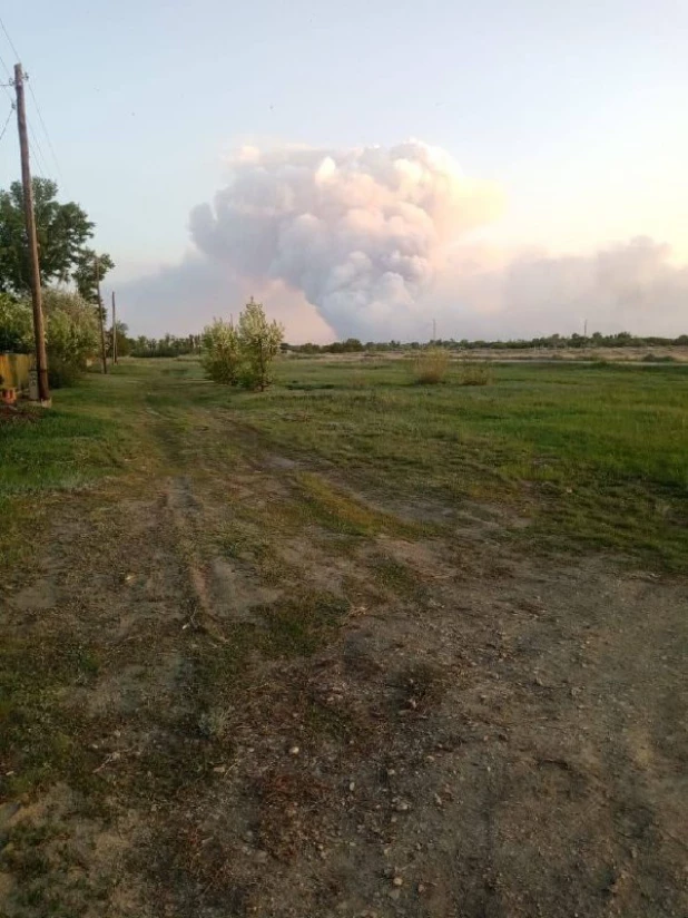 Крупный лесной пожар вспыхнул Алтайского края и Казахстана