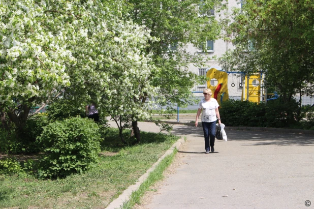 В Барнауле привели в порядок центральный сквер