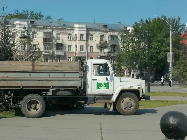 Высадка деревьев на площади Октября