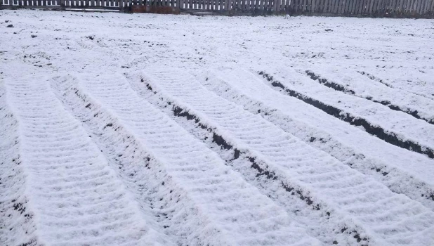 Снег в селе Беш-Озёк в Шебалинском районе