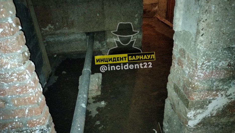 Затопленный нечистотами подвал многоквартирного дома в Славгороде