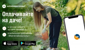 Личный кабинет клиента АО «Алтайэнергосбыт» всегда поможет оплатить счета и передать показания счётчика в удобное время.
