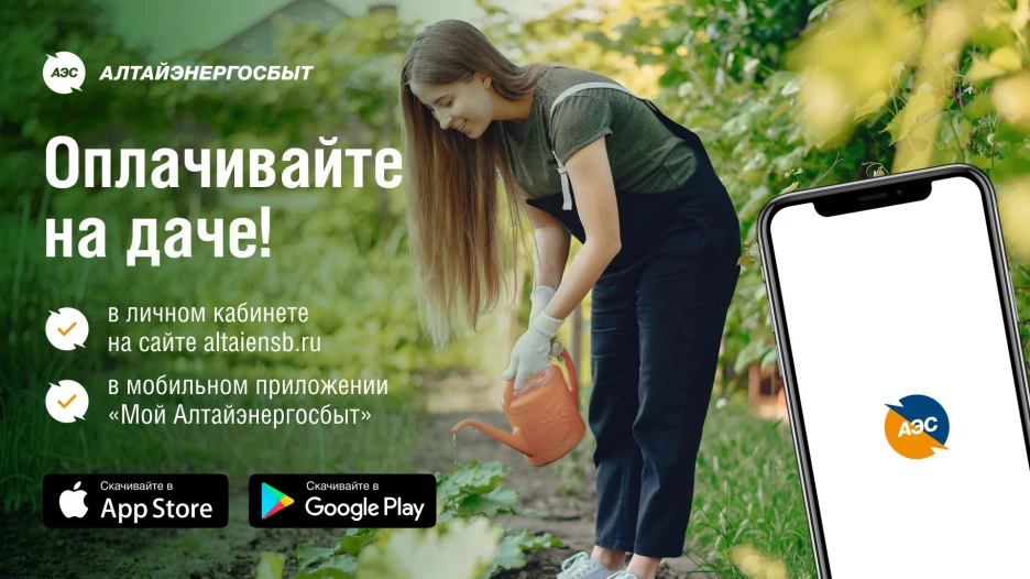 Личный кабинет клиента АО «Алтайэнергосбыт» всегда поможет оплатить счета и передать показания счётчика в удобное время.